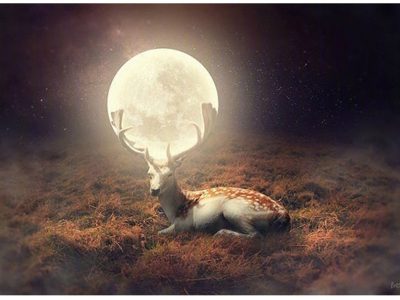 PS教程！教你制作创意合成月亮小鹿（含素材）