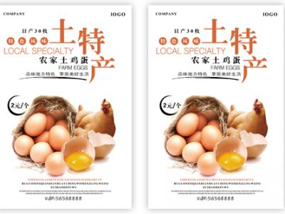 鸡蛋土特产天然健康简洁海报设计PSD模板