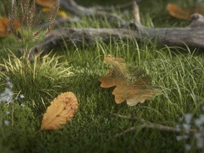 62个Octane树叶叶子材质预设