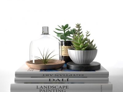 多肉植物玻璃制品和空气植物书本C4D素材模型下载