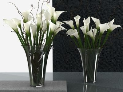 鲜花模型花卉模型白马蹄莲模型