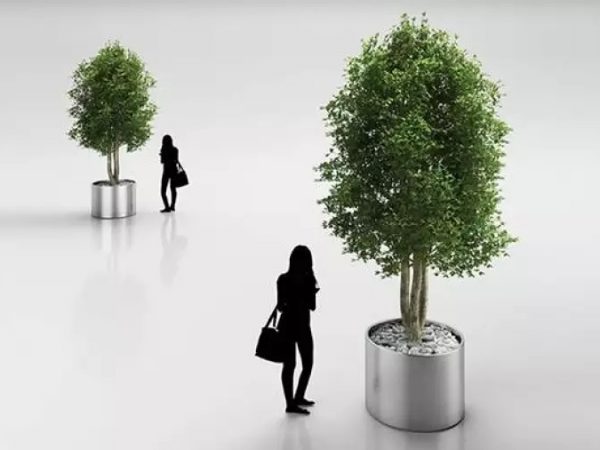 源酷网C4D模型-植物模型树模型树木模型城市绿化树模型盆栽树3D模型