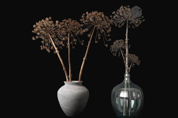 C4D装饰干花模型花盆,盆栽3D模型下载
