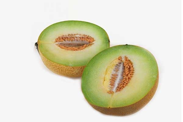 C4D香瓜模型哈密瓜模型甜瓜3D模型下载