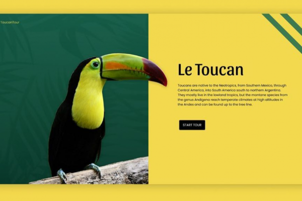 领导说你的作品没有设计感，这10个技巧非常值得你学会