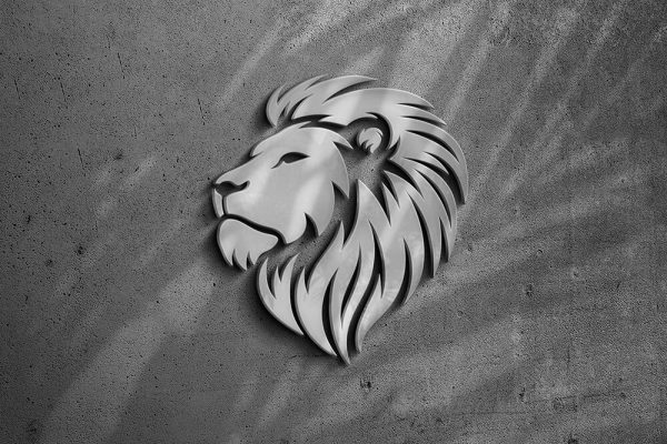 高端大气企业级品牌VI标志Logo样机PSD素材包