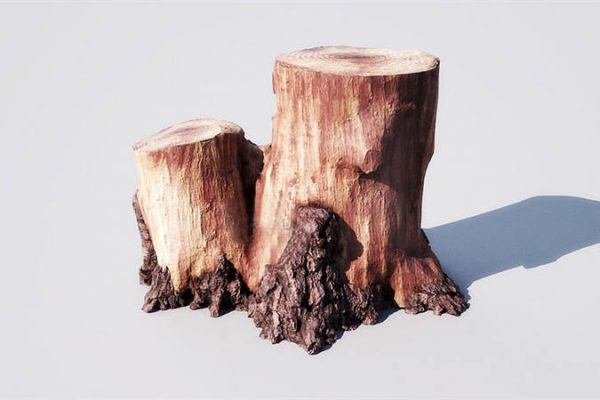 C4D大树根模型枯树桩3D模型下载