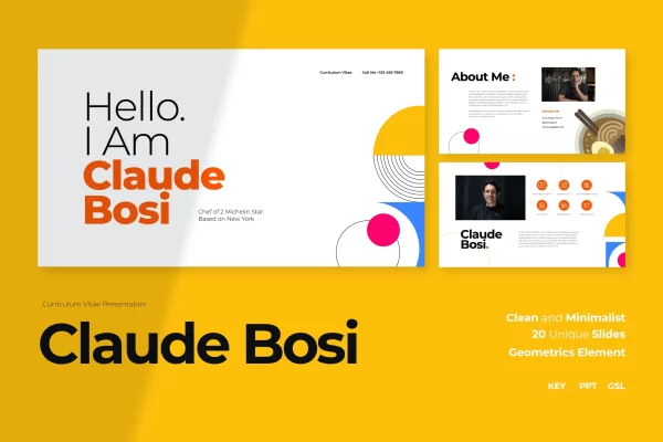 个人简历/求职报告PPT幻灯片模板下载