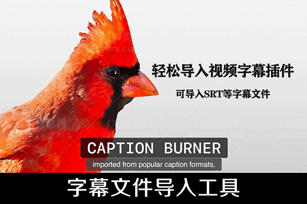 FCPX插件SRT字幕文件导入工具 支持M1 Caption Burner