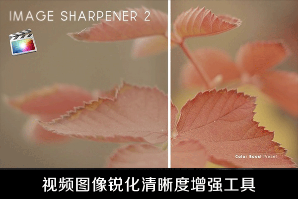 FCPX插件-视频图像锐化画面清晰度增强工具 支持M1