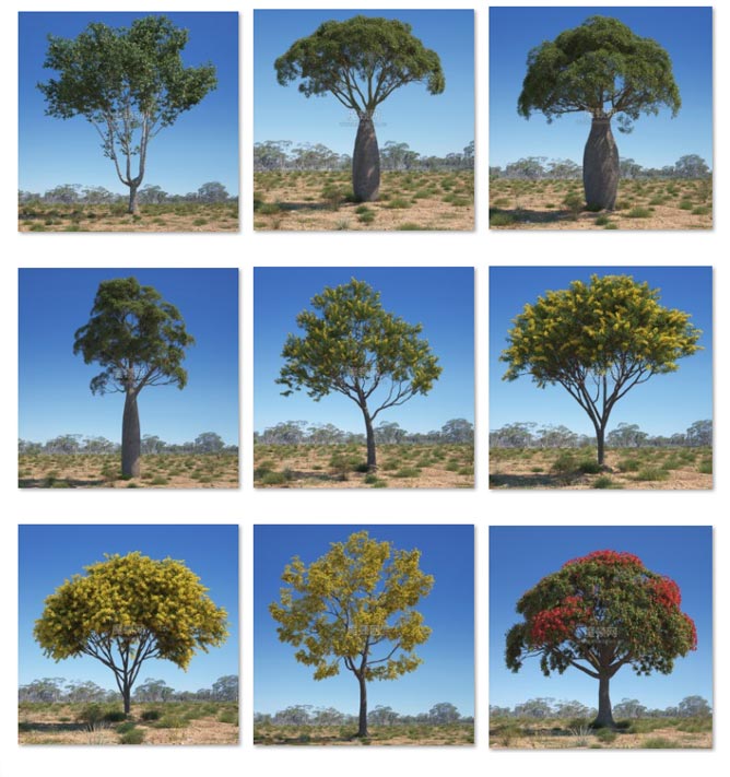 C4D模型44颗澳大利亚典型树木3D模型合集下载