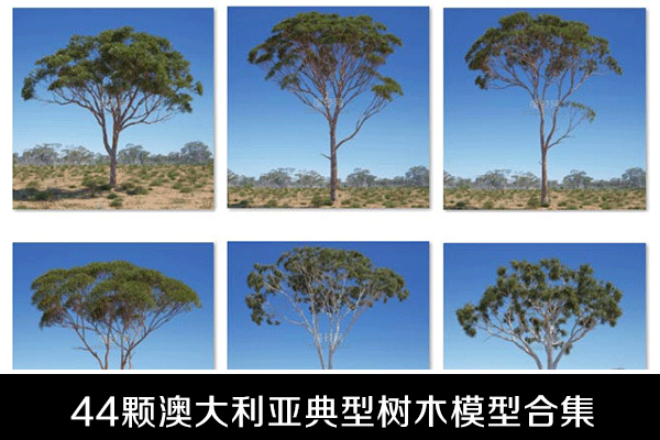 C4D模型44颗澳大利亚典型树木3D模型合集下载