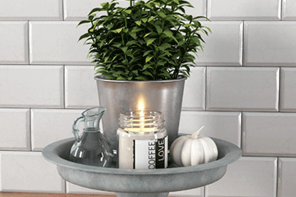 C4D模型-盆栽模型蜡烛3D模型下载