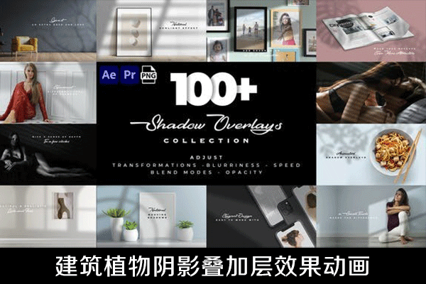 AE模板/PR模板-100种建筑植物阴影叠加层效果动画