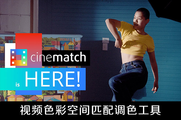 PR插件-视频色彩空间匹配调色工具 Rubber Monkey CineMatch v1.12 Win版