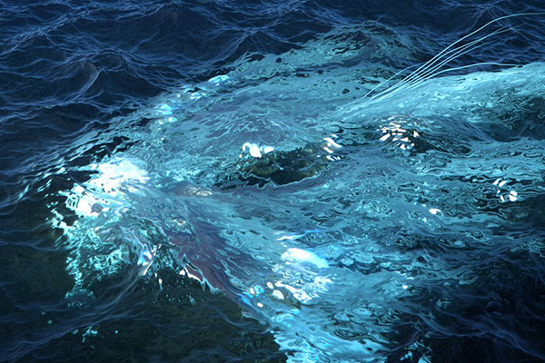 C4D海洋插件-支持C4D R25-R26中英双语汉化版HOT4D海洋波浪模拟插件Cinema 4D海洋插件