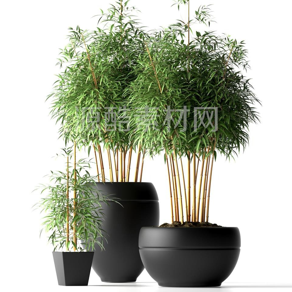 C4D模型-竹子盆栽模型盆景模型