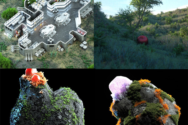 C4D工程-18个OC工程植物创意c4d octane场景工程源文件