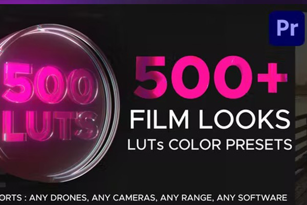 PR模板-500种专业婚礼视频色彩校正LUTS调色预设 LUTs Color Presets for Premiere Pro