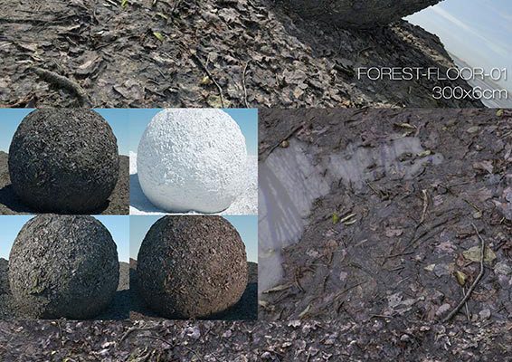 3D贴图-高品质写实森林地面贴图枯树叶地面贴图