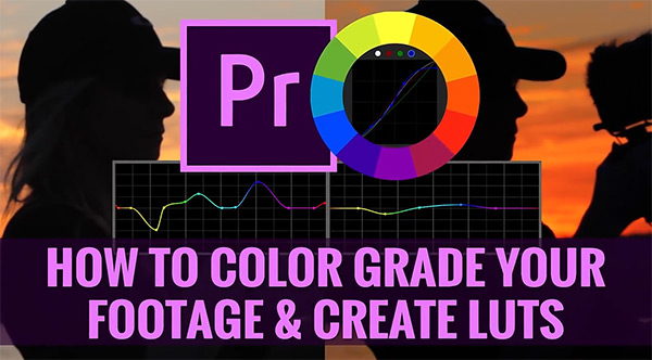 PR教程-PR视频调色基础学习课程(英文字幕) Udemy – Color Grading & Creating Luts