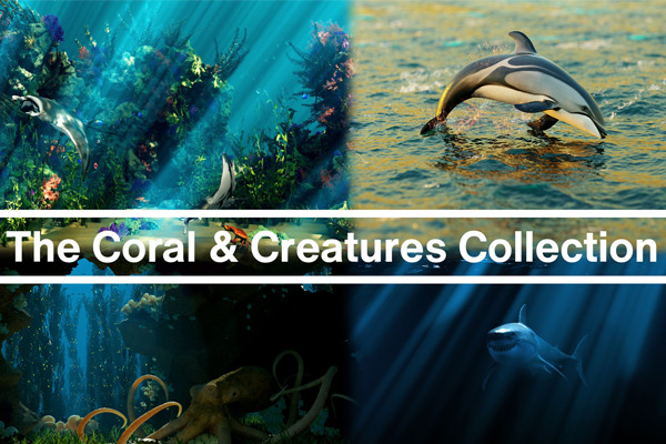 Blender插件-中文汉化版海洋珊瑚植物和动物模型预设 The Coral & Creatures Collection v1.0