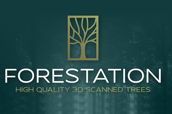 Blender插件-高品质三维扫描植物树木模型预设 Forestation V1.0 – High Quality 3d Scanned Trees
