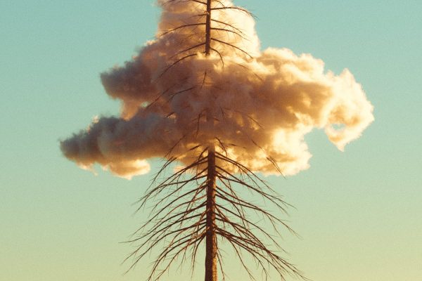 25组静态VDB体积云模型乌云白云3D模型 含中文字幕教程Cloud Essentials | Volume 1