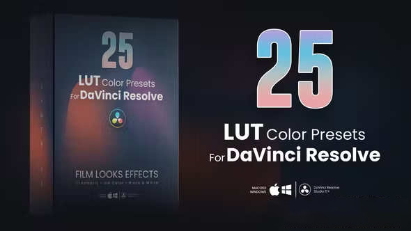 达芬奇模板-25组单色黑白好莱坞电影视频调色预设 25 LUTs pack for DaVinci Resolve