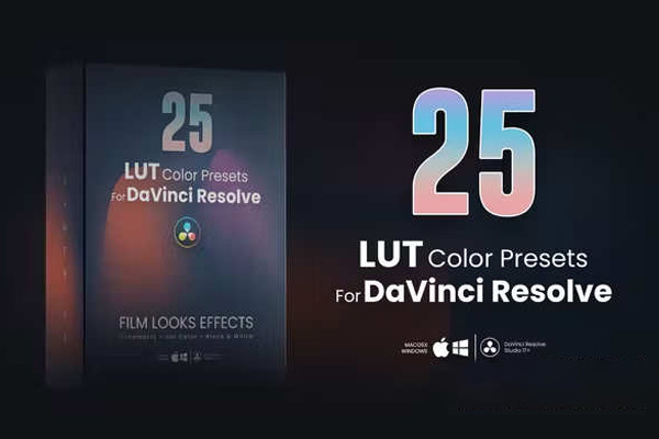 达芬奇模板-25组单色黑白好莱坞电影视频调色预设 25 LUTs pack for DaVinci Resolve