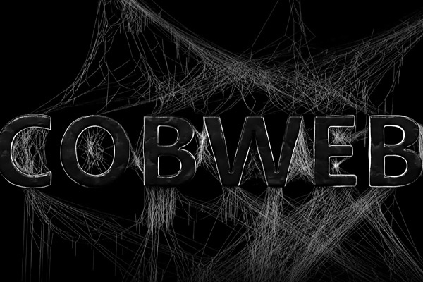 Blender插件-蜘蛛网生成插件 Cobweb (spidernet) v2.1