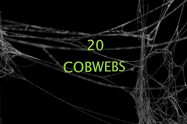 20个蜘蛛网3D模型蜘蛛网模型Cobwebs