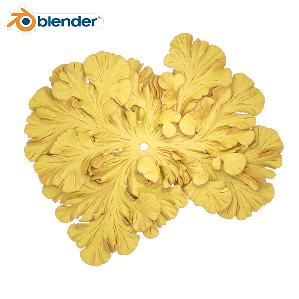 Blender插件-自然珊瑚藻类波浪形效果生长动画插件 Differential Growth V2.1.1