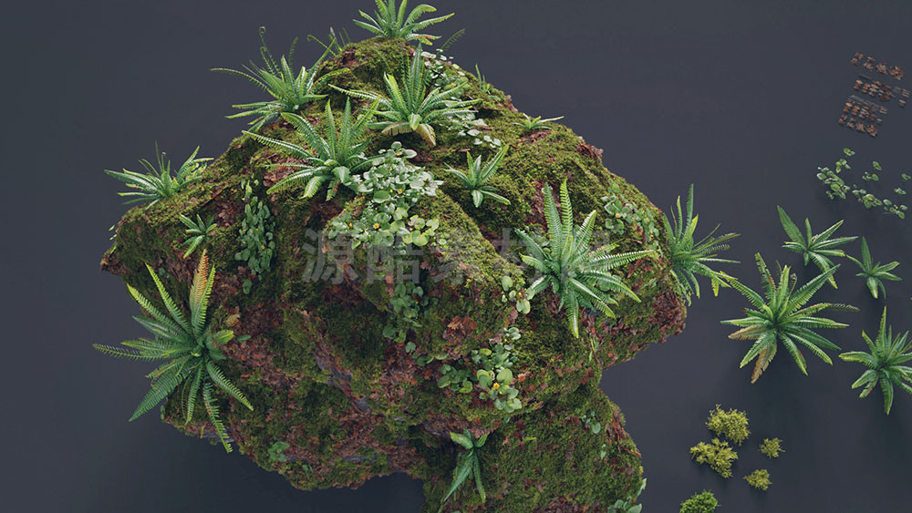3D模型-原始森林苔藓枯树树枝树干模型石头蕨类植物草木模型
