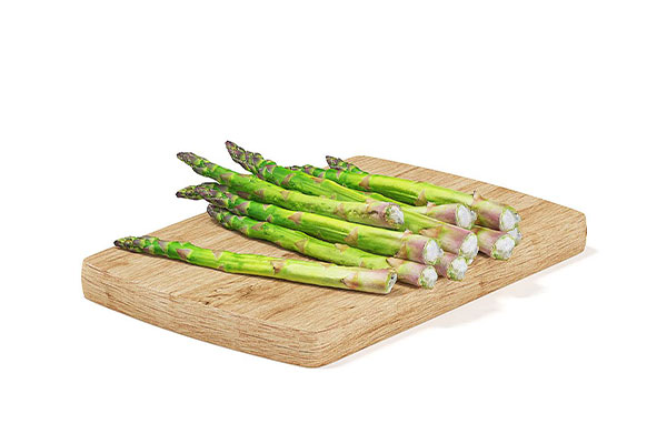 莴笋竹笋模型蔬菜模型素材