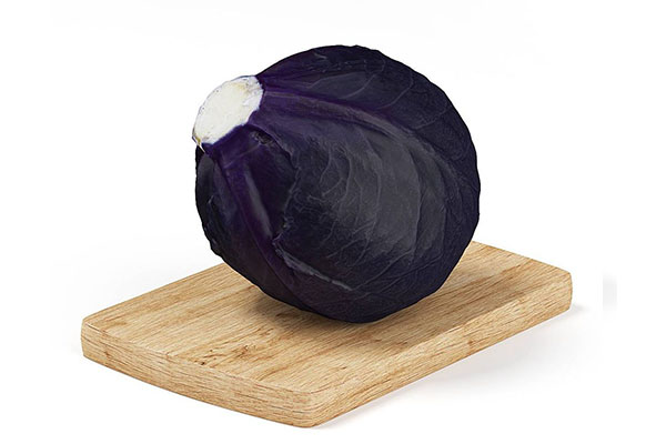 紫包菜模型紫甘蓝模型