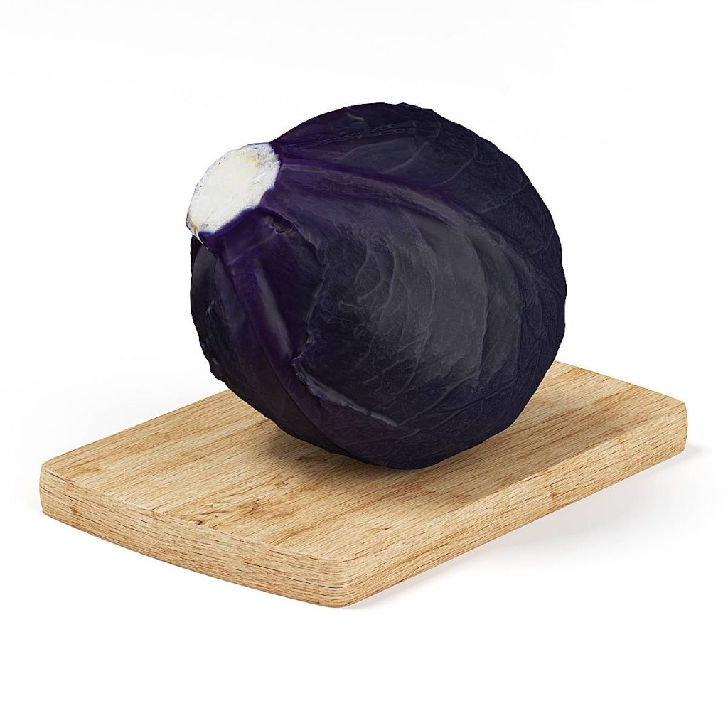 紫包菜模型紫甘蓝模型
