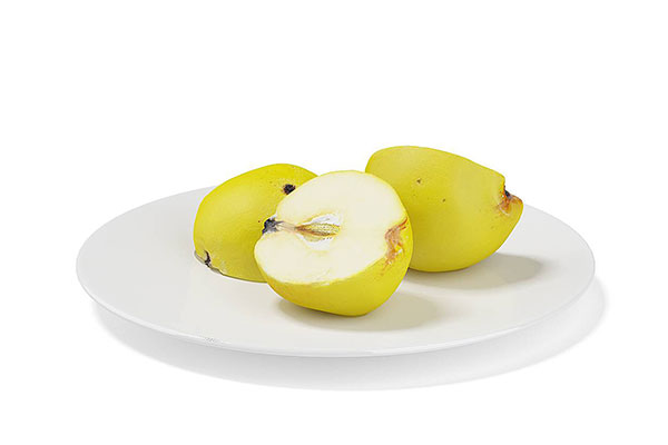 C4D水果模型-切开的梨子模型素材下载