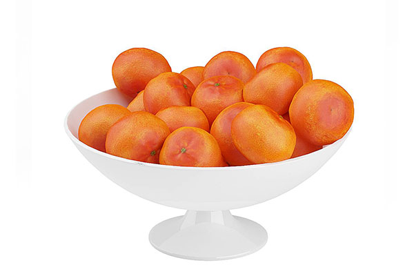 桔子模型橘子模型水果模型