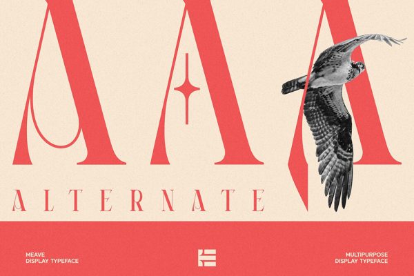 现代经典衬线英文字体素材