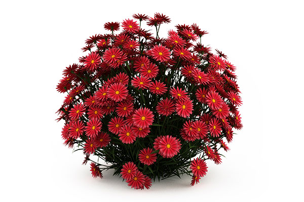 C4D花丛模型素材植物模型素材下载