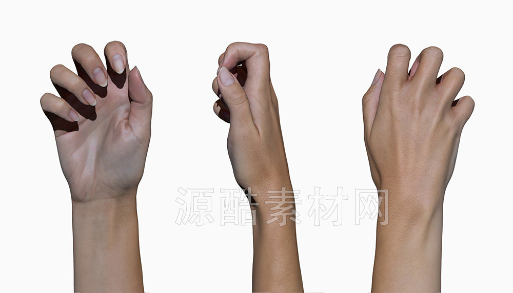 11个真实的女性手势模型包真人手模型素材下载