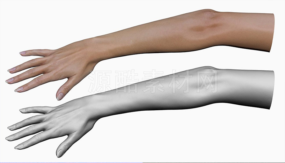 11个真实的女性手势模型包真人手模型素材下载