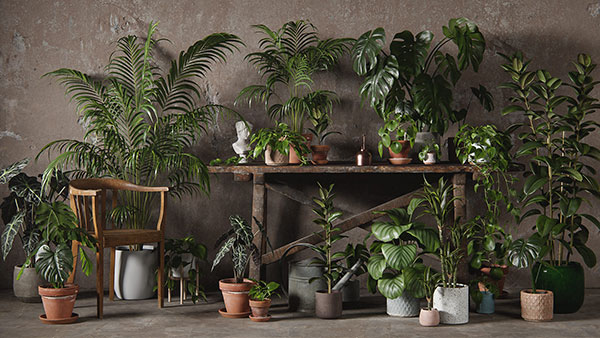 48个高质量盆栽绿植模型植物3D模型下载 3DCollective – Interior Plants Pack 01