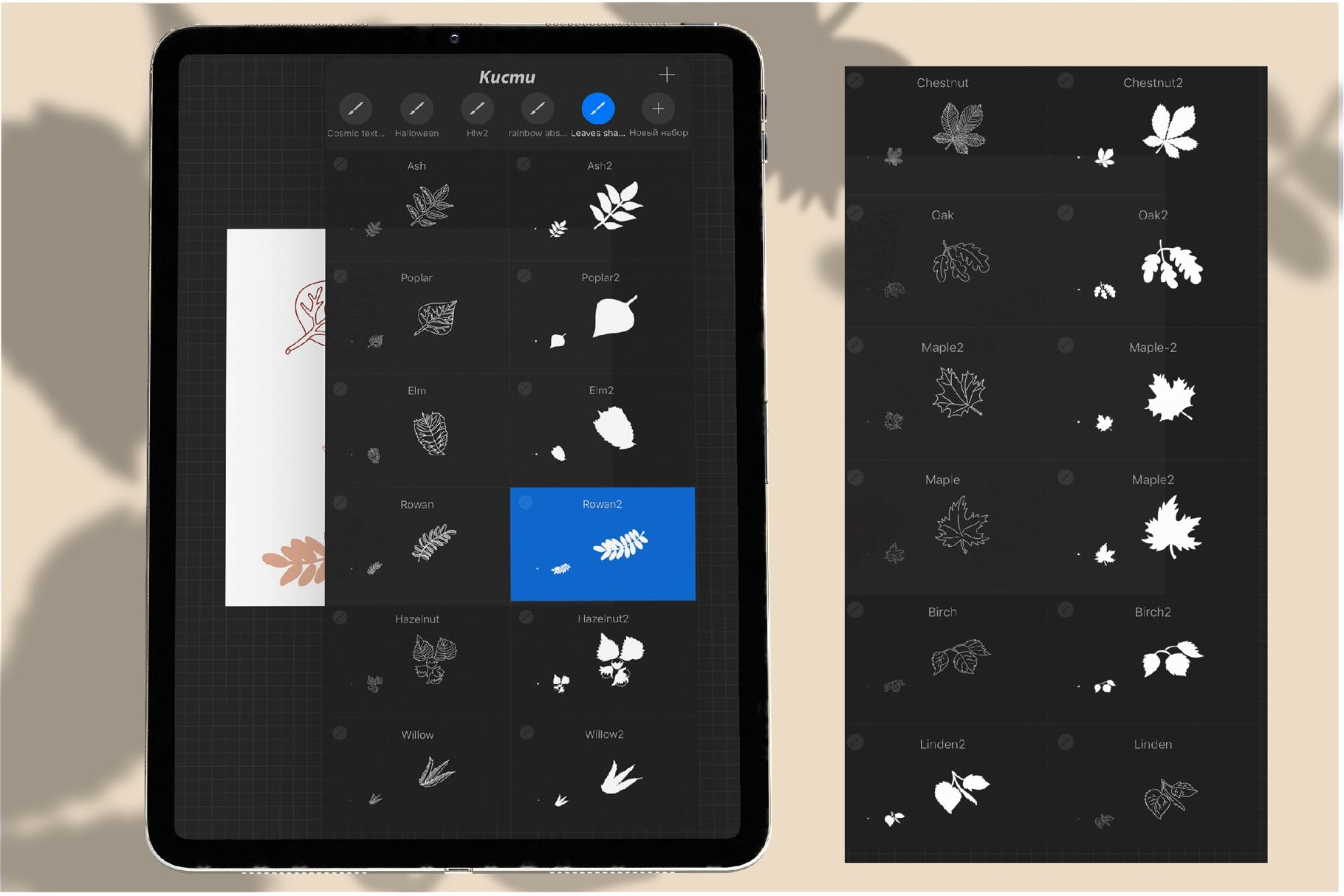 叶子树叶阴影Procreate笔刷素材 Leaves stamps for Procreate. Foliage