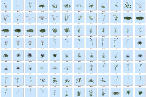 122个草丛草地花草模型植物C4D模型下载