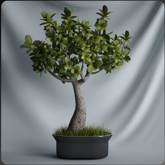 C4D盆栽模型室内盆景绿植模型下载