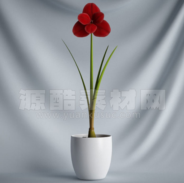 C4D盆栽模型花卉模型盆景模型免费下载