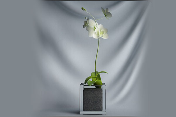 盆栽盆景模型花卉模型-C4D植物模型下载