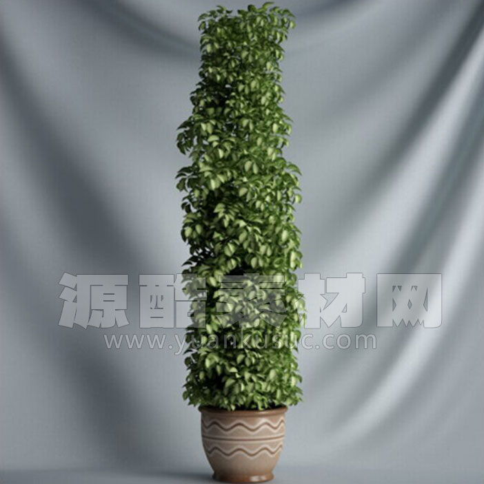 C4D绿植盆栽模型盆景模型植物模型下载